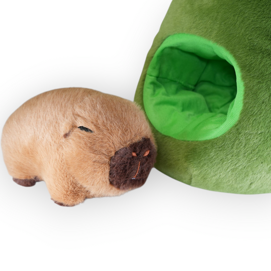 Capybara Plüss Körtében